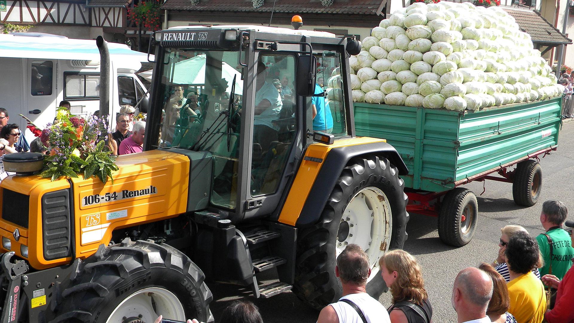 Photo de la Fête de la Choucroute à Krautergersheim - 6